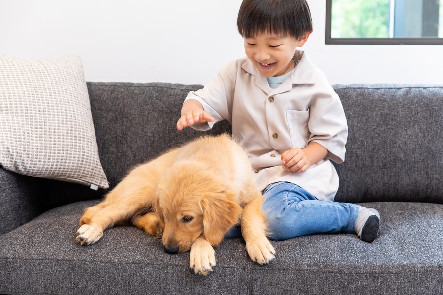 ペットや小さなお子様がいるご家庭